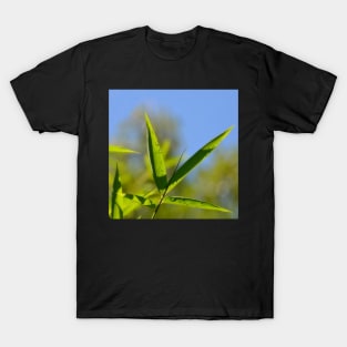 After the rain T-Shirt